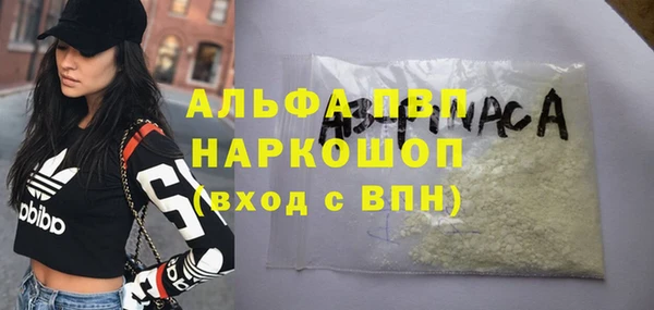 сатива Белоозёрский