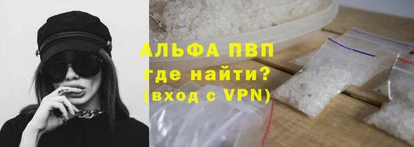 сатива Белоозёрский