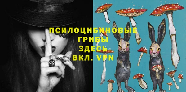 spice Беломорск
